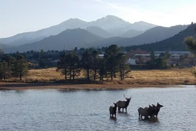 Rocky Mountain National Park and Estes Park Tour from Denver Winter and Spring
