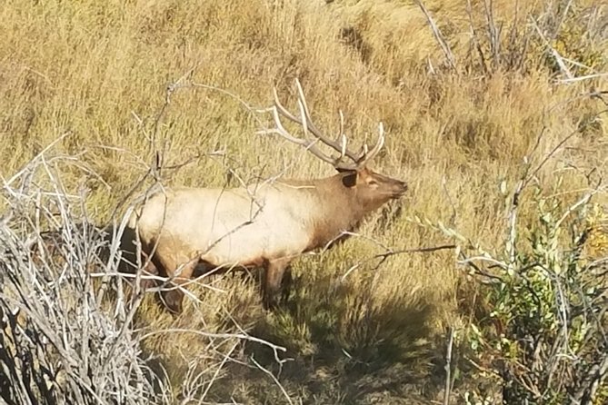 Rocky Mountain National Park and Estes Park Tour from Denver Winter and Spring - Alluvial Fan shows the force of water