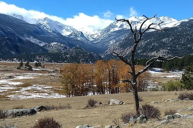 Rocky Mountain National Park and Estes Park Tour from Denver Winter and Spring - Horseshoe Park and the wildlife watch