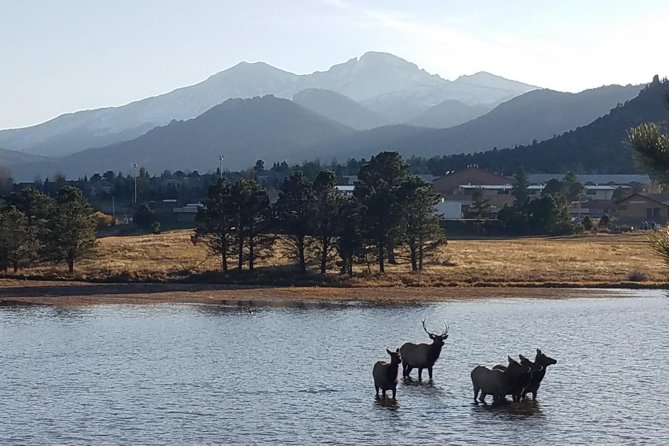 Rocky Mountain National Park and Estes Park Tour from Denver Winter and Spring - Entering Rocky Mountain National Park at Beaver Meadows