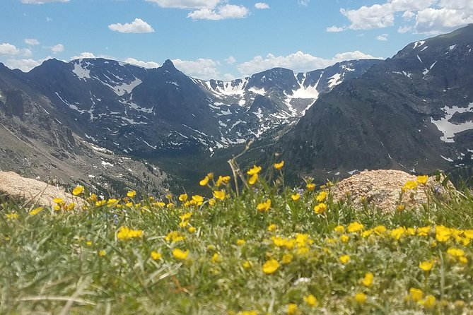 Rocky Mountain National Park in Summer Tour from Denver - Key points to know before booking