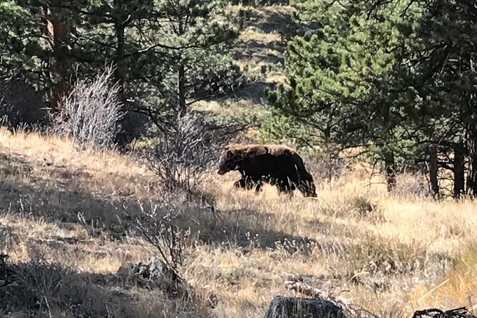 Rocky Mountain National Park in Summer Tour from Denver - Rock Cut and the thin-air problem
