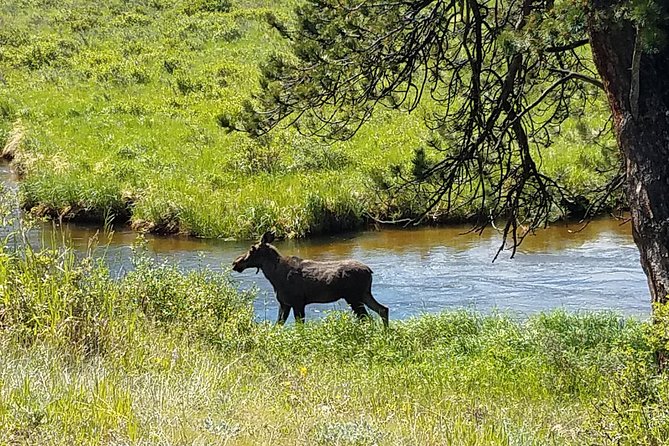 Rocky Mountain National Park in Summer Tour from Denver - Three overlooks with three different views