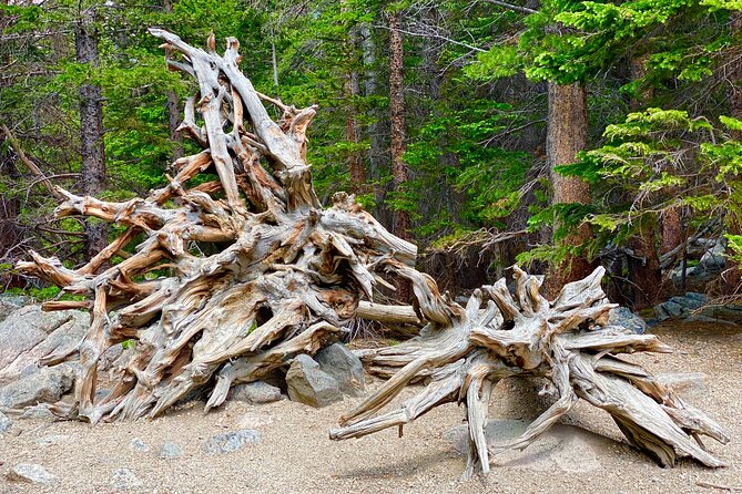 Rocky Mountain National Park Tour from Denver - How much time do you spend in the van?