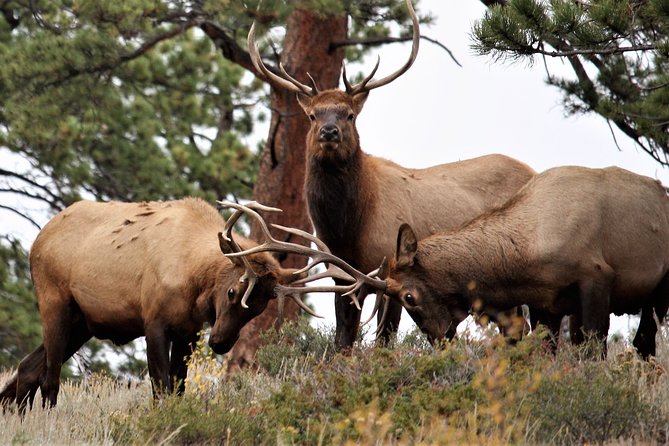 Rocky Mountain National Park Tour from Denver - Lyons, the Double Gateway to the Rockies