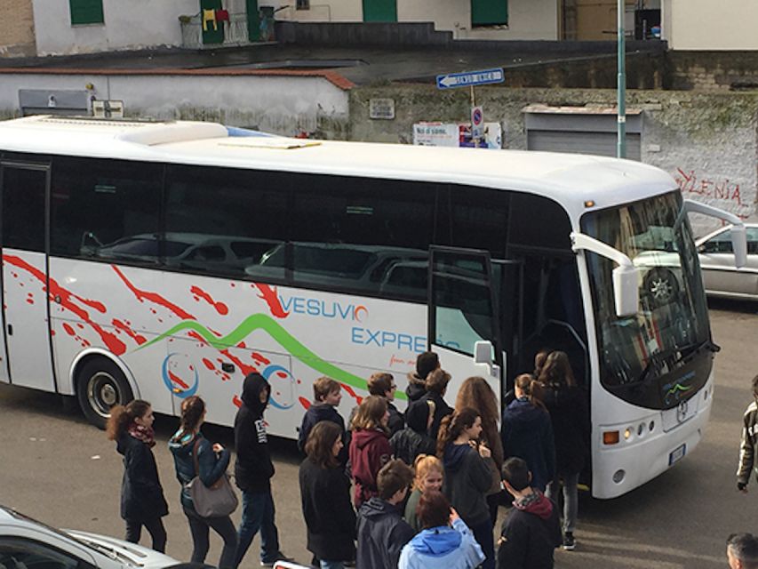 Round-Trip to Vesuvius National Park From Ercolano - Key points to know before booking
