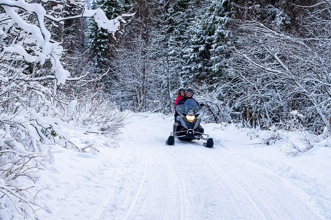 Rovaniemi: Drive New 2025 Snowmobiles on Arctic Safari & BBQ - The one-hour driving time and what it means