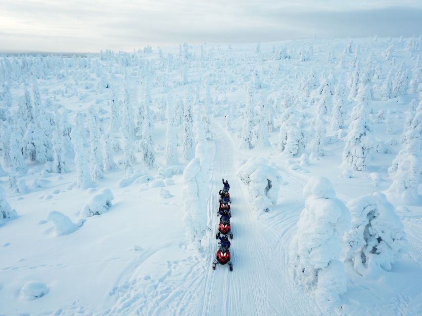 Rovaniemi: Full-Day Snowmobile Safari into the Wilderness - Key points at a glance