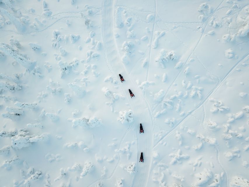 Rovaniemi: Full-Day Snowmobile Safari into the Wilderness - Why this safari is different from a short Rovaniemi ride
