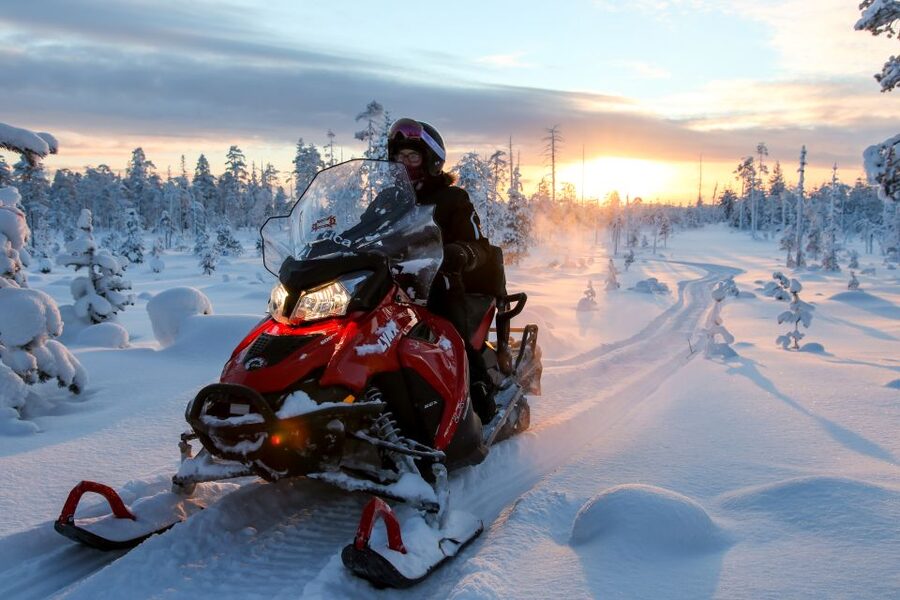 Rovaniemi: Full-Day Snowmobile Safari into the Wilderness - Useful booking advice before you commit