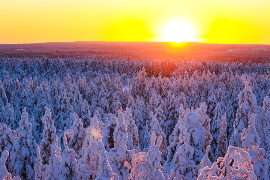 Rovaniemi: Guided Wilderness Snowmobile Ride - Safety Training Before the Throttle