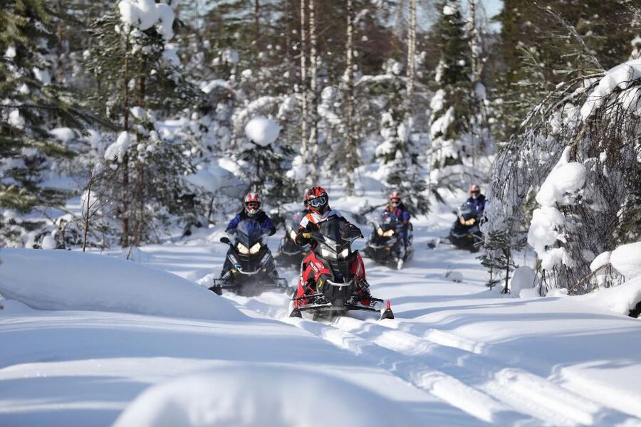 Rovaniemi: Guided Wilderness Snowmobile Ride - Small Groups and Strong Guiding