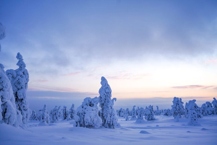 Rovaniemi: Riisitunturi National Park Day Trip with Lunch - Key points at a glance