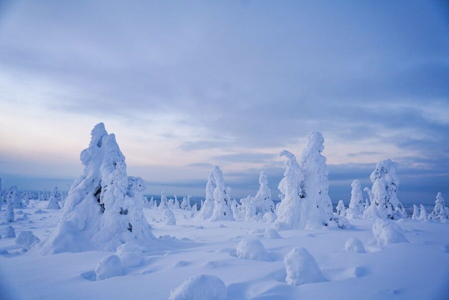 Rovaniemi: Riisitunturi National Park Day Trip with Lunch - The 4-kilometre walk and the pace of the day