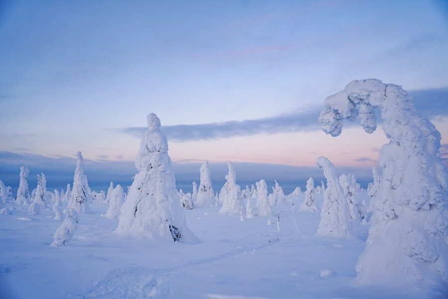 Rovaniemi: Riisitunturi National Park Day Trip with Lunch - The guide is a major part of the experience