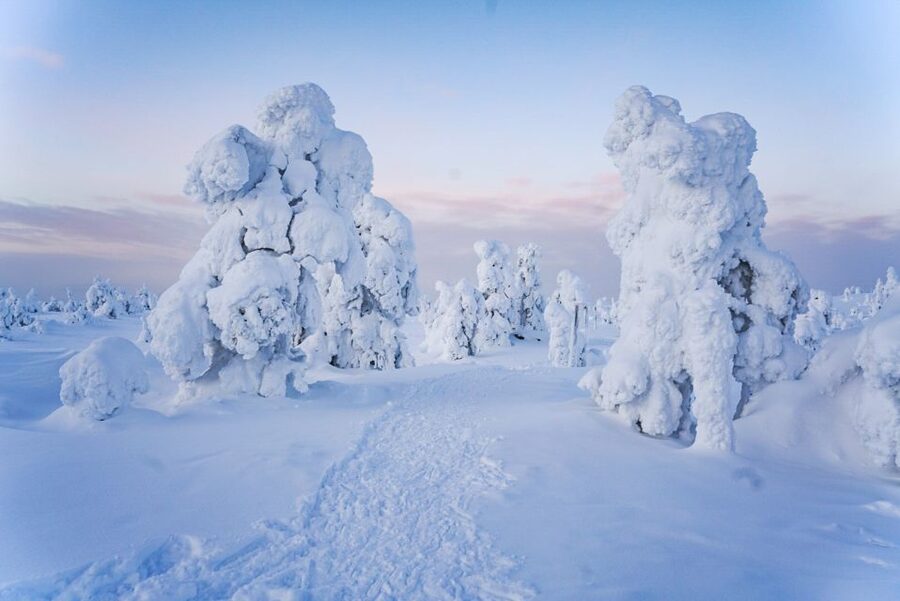 Rovaniemi: Riisitunturi National Park Day Trip with Lunch - The wilderness hut and Finnish fire lesson