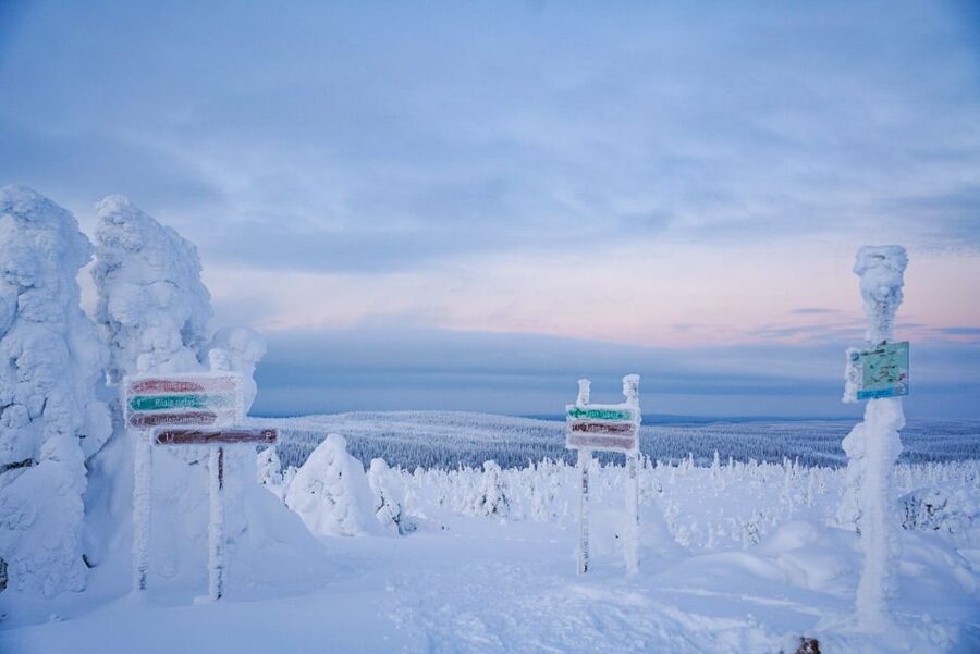 Rovaniemi: Riisitunturi National Park Day Trip with Lunch - Who will enjoy this most?