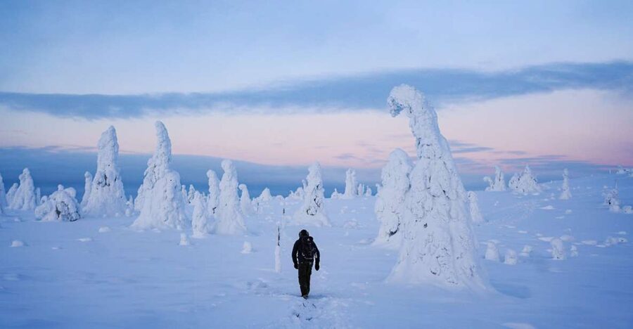 Rovaniemi: Riisitunturi National Park Day Trip with Lunch - Why Riisitunturi looks so unusual in winter