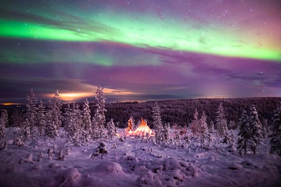 Rovaniemi: Small-Group Northern Lights Wilderness Tour - Key points to know before booking