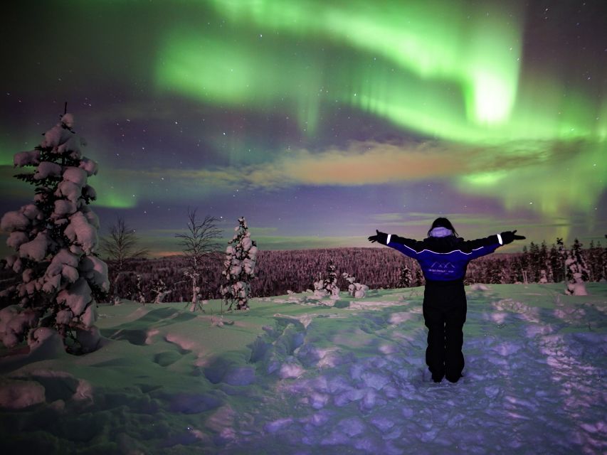 Rovaniemi: Small-Group Northern Lights Wilderness Tour - Leaving Rovaniemi for darker skies