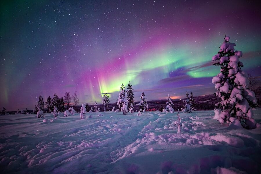 Rovaniemi: Small-Group Northern Lights Wilderness Tour - Waiting beside the fire in the Finnish dark