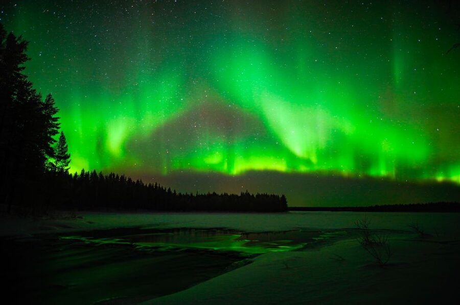 Rovaniemi: Small-Group Northern Lights Wilderness Tour - What the guide adds to the evening