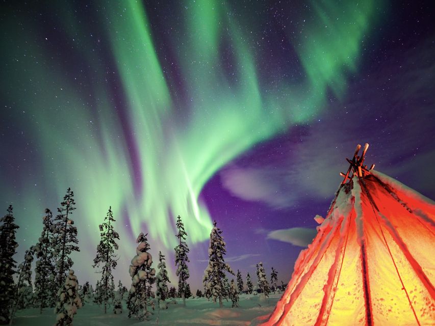 Rovaniemi: Small-Group Northern Lights Wilderness Tour - Professional photos and what to expect from them