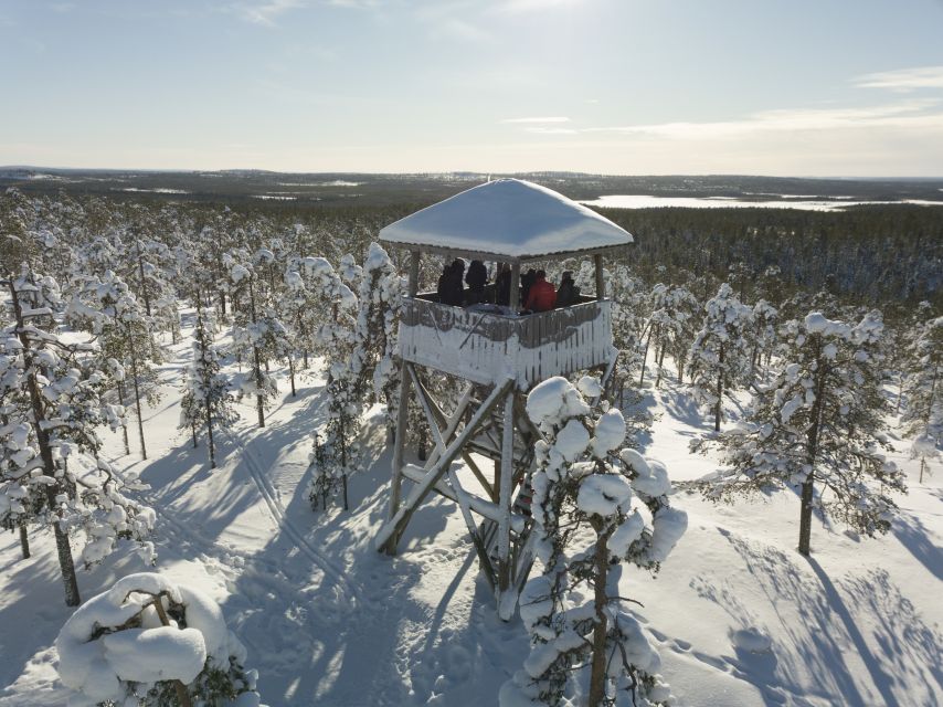Rovaniemi: Wilderness Tour - Key points to know before booking