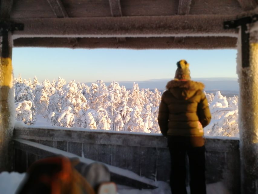 Rovaniemi: Wilderness Tour - Should you book the Rovaniemi Wilderness Tour?