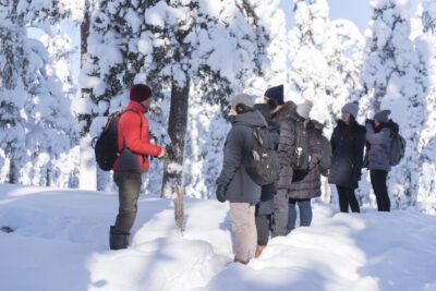 Rovaniemi: Wilderness Tour