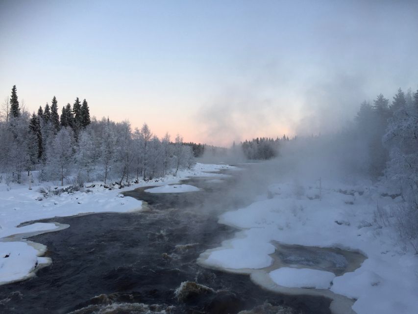 Rovaniemi: Wilderness Tour - The match-free fire lesson
