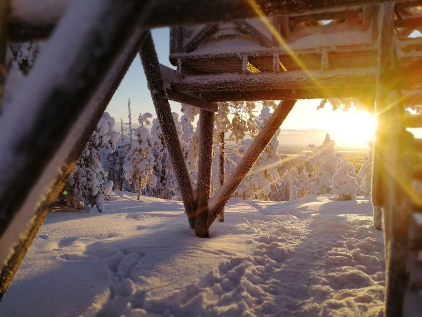 Rovaniemi: Wilderness Tour - Guides who shape the experience