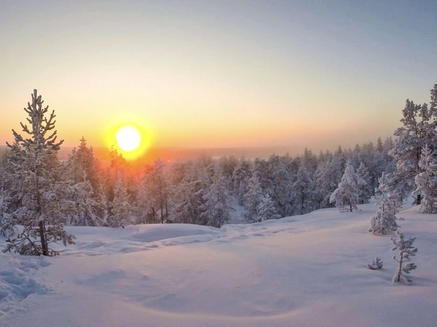 Rovaniemi: Wilderness Tour - What the 3.5-hour schedule is really worth
