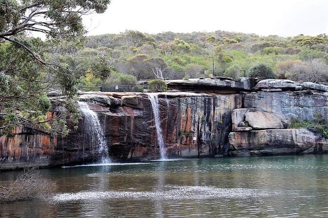 Royal National Park Private Tour - Why this private day works so well