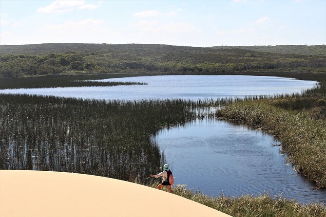 Royal National Park Private Tour - Bald Hill and Sea Cliff Bridge