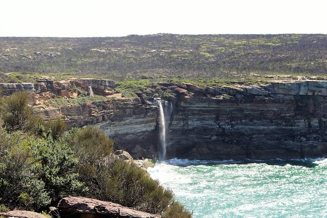 Royal National Park Private Tour - Coffee at The Imperial at Clifton