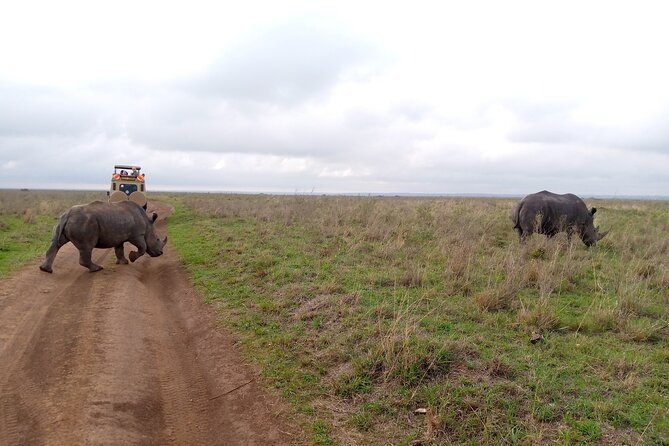 Safari Tour; Nairobi National Park - The city skyline and the wildlife