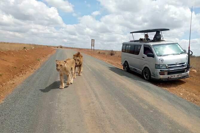Safari Tour; Nairobi National Park - Entering Nairobi National Park in an open-roof van