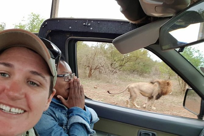 Safaris in Kruger National Park Full Day - Key points before you book