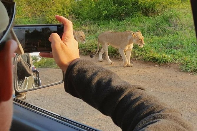 Safaris in Kruger National Park Full Day - Pickup is convenient, but plan the extras