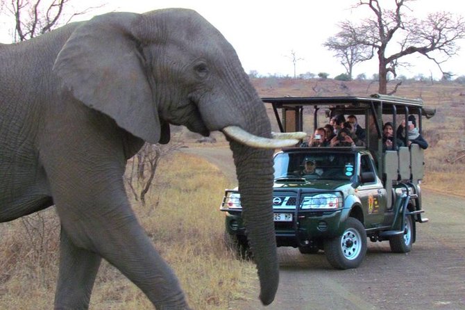 Safaris in Kruger National Park Full Day - The guides are the main reason to choose it