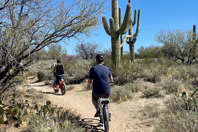 Saguaro National Park East E-Bike Tour - Park stops, plants, wildlife, and desert stories