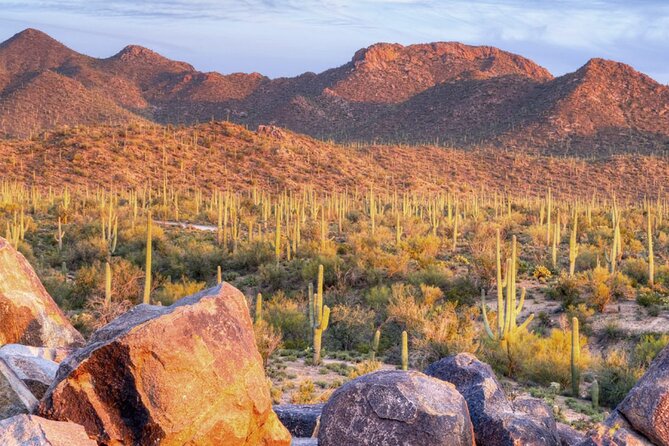 Saguaro National Park East E-Bike Tour - Is $159 a fair price?