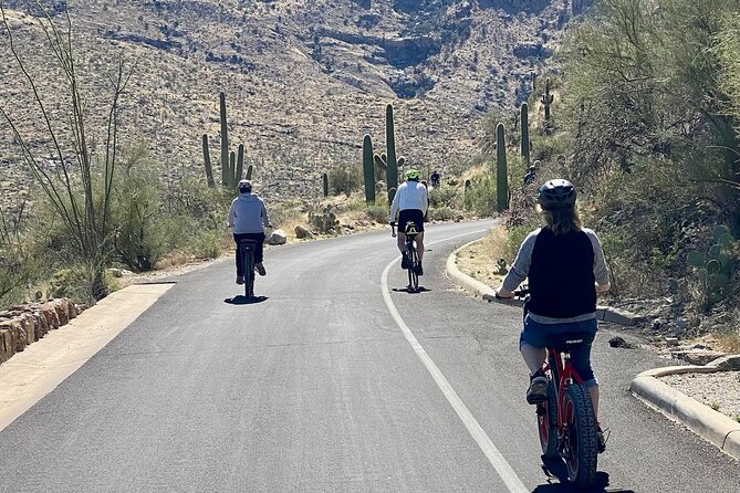 Saguaro National Park East E-Bike Tour - Meeting at Saguaro Corners before the ride