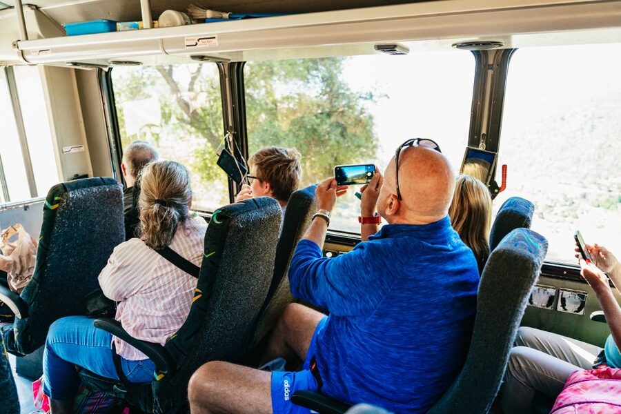 San Francisco: Yosemite National Park & Giant Sequoias Hike - Walking among giant sequoias at Tuolumne Grove