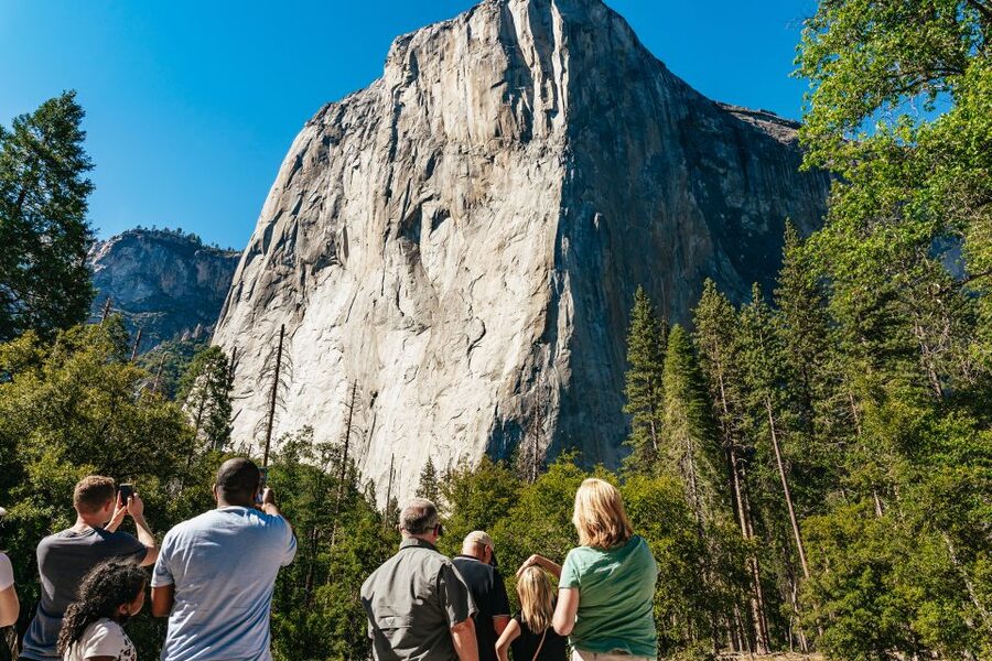 San Francisco: Yosemite National Park & Giant Sequoias Hike - The return journey and coach comfort