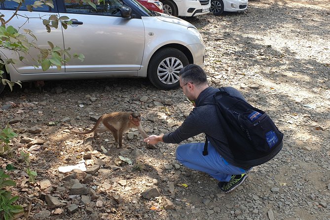 Sanjay Gandhi National Park(SGNP) + Kenheri Caves + Lion Safari + Jain Temple - Who will enjoy this tour most