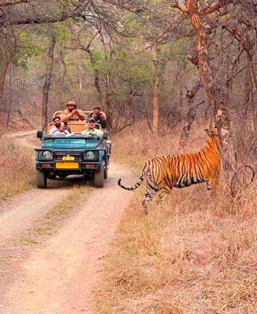 Sawai Madhopur: Ranthambore National Park Guided Jeep Safari - Booking advice before you pay