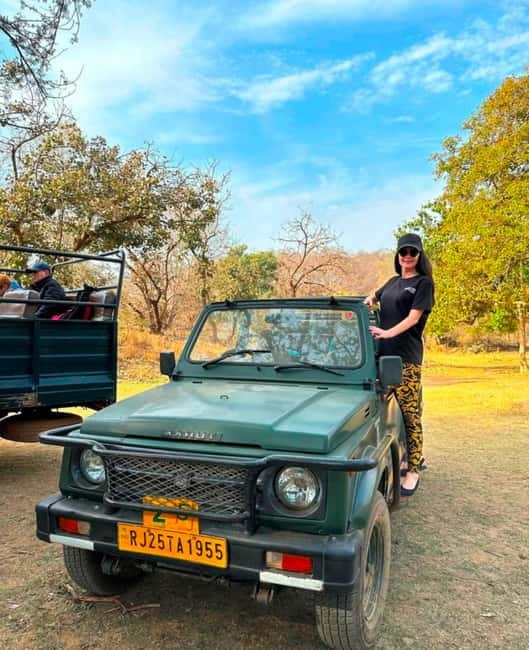 Sawai Madhopur: Ranthambore National Park Guided Jeep Safari - How much value you get for $45