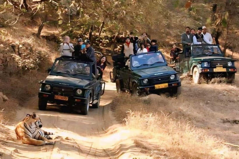 Sawai Madhopur: Ranthambore National Park Guided Jeep Safari - The jeep ride through forest and hills